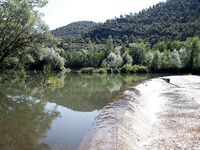 Форелевые рыбалки: две поездки на одну речку