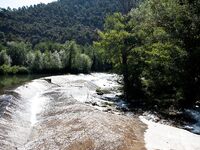 Форелевые рыбалки: две поездки на одну речку