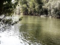 Форелевые рыбалки: две поездки на одну речку