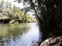 Форелевые рыбалки: две поездки на одну речку