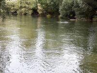 Форелевые рыбалки: две поездки на одну речку