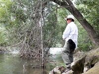 Форелевые рыбалки: две поездки на одну речку