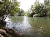 Форелевые рыбалки: две поездки на одну речку