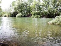 Форелевые рыбалки: две поездки на одну речку