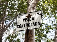 Риба-Роха: фотокадры с водохранилища и ниже по Эбро