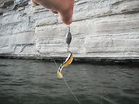 Риба-роха, август 2013: вечерняя рыбалка и один судак