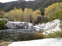 Как вести приманку на кальмара и нужен ли налобник?