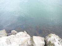 Фотографии берегов Эбро: рыбалка закончилась кадрами