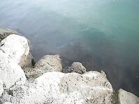 Фотографии берегов Эбро: рыбалка закончилась кадрами