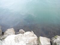 Фотографии берегов Эбро: рыбалка закончилась кадрами