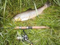 Две новые речки на Святой неделе, рассвет и десять форелей