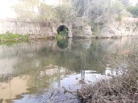 Две новые речки на Святой неделе, рассвет и десять форелей