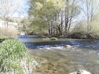 Две новые речки на Святой неделе, рассвет и десять форелей