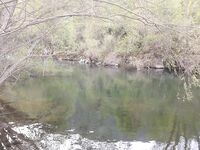 Две новые речки на Святой неделе, рассвет и десять форелей