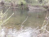 Две новые речки на Святой неделе, рассвет и десять форелей