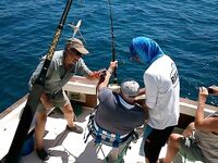 Каталония: 4 часа за 480 € — утренний выход и луфарь