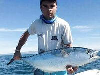 Каталуния: цены на морскую рыбалку и что реально поймать