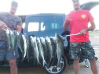 Дельта Эбро — попперы по луфарю, «взяли и забрали»