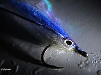 Дельта Эбро: друг-нахлыстовик и универсальные морские мушки