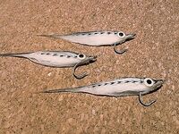 Каталуния, мушки: продолжение и уточнения