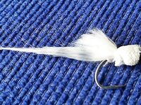 Каталуния, мушки: продолжение и уточнения