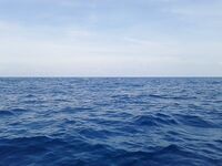 Дельта Эбро — погоня за тунцом и уроки из двух сходов