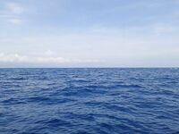 Дельта Эбро — погоня за тунцом и уроки из двух сходов