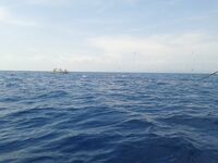 Дельта Эбро — погоня за тунцом и уроки из двух сходов