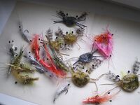 Каталуния, морские мушки: показал свои варианты и жду мнение