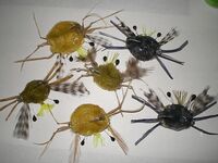 Каталуния, морские мушки: показал свои варианты и жду мнение