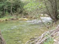 Каталуния, платник после выходных: Кукри 2/4 г и Малёк 4 г по форели