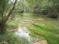 Каталуния, платник после выходных: Кукри 2/4 г и Малёк 4 г по форели