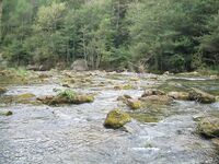 Каталуния, платник после выходных: Кукри 2/4 г и Малёк 4 г по форели