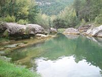 Каталуния, платник после выходных: Кукри 2/4 г и Малёк 4 г по форели