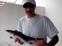 Испания, Бенальмадена — хлебная снасть и битвы у поплавка