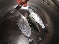 Испания, Бенальмадена — хлебная снасть и битвы у поплавка