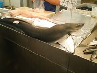 Финальные фото к отчёту — без координат и «секретов»