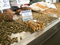 Финальные фото к отчёту — без координат и «секретов»