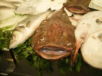 Финальные фото к отчёту — без координат и «секретов»