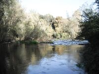 Форелевые разведки: 37 отпущенных, воблер против микроколебла