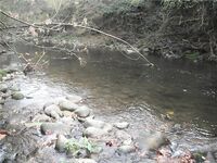 Поздняя осень на горной, воблеры рулят, 26 хвостов