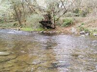 Поздняя осень на горной, воблеры рулят, 26 хвостов