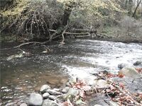 Поздняя осень на горной, воблеры рулят, 26 хвостов