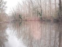 Каталонская речка — низкая вода, колебло и 26 форелей