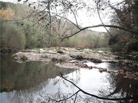 Каталонская речка — низкая вода, колебло и 26 форелей