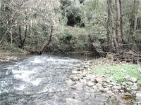 Каталонская речка — низкая вода, колебло и 26 форелей