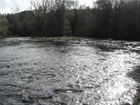 Каталонская речка — низкая вода, колебло и 26 форелей