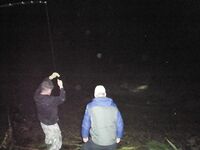 Эбро: пеллетс на донках и сомы 40/60 кг, спиннинг «для души»