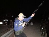 Эбро: пеллетс на донках и сомы 40/60 кг, спиннинг «для души»