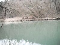 Ниже дамбы: радужка и фарио, 37 контактов за день